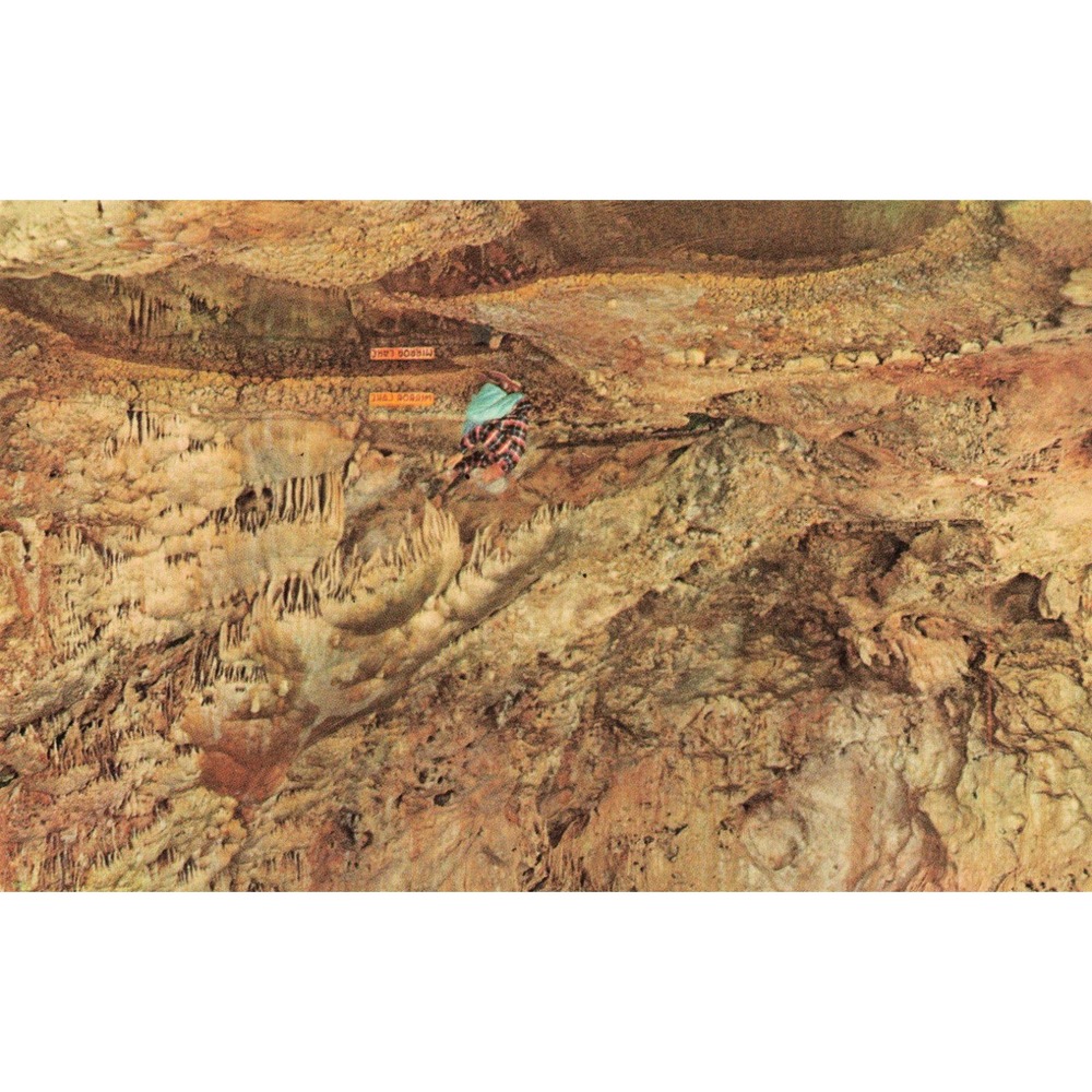 Vintage Carlsbad Caverns National Park Mirror Lake New Mexico Linen Postcard - Picture 1 of 2